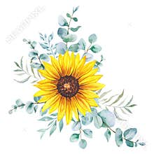 Watercolor sunflowers bouquet, hand painted sunflower bouquets, sunfower flower arrangement. Wedding invitation clipart elements.