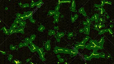 Abstract moving microorganisms or bacteria on a black background. Design. Concept of chemistry and biology.