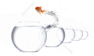 Jumper-fish