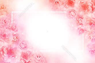 pink rose flower frame on a soft peach background for romantic Valentine or wedding cards
