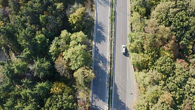 Flying over the road between autumn forest