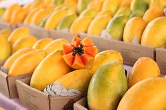 Fresh papayas on display