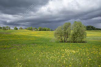Spring landscape with scenic stormy clouds over blooming fields