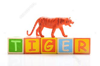 Tiger toy