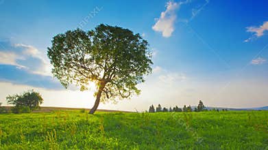 Summer landscape. 4K. FULL HD, 4096x2304.