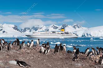 Antarctica penguins and cruise ship