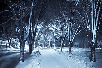 Silent walkway under snow