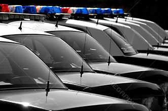 Police Cars in a Row