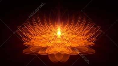 Transparent lotus flower with a lot of fire colored petals slowly rotating around a bright light ray