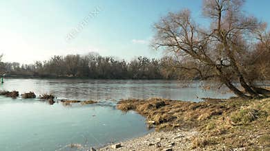 Scenic Danube Riverbank in February. Tranquil Waters, Bare Trees, and Serene Winter Landscapes