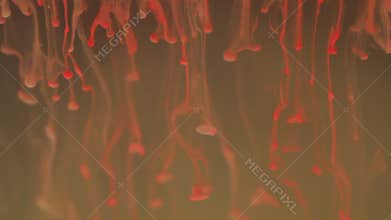 Ink drip blend blur dye magical drops fluid smoke