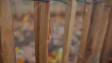 The camera pans along the fence. The camera pans along the fence. One wooden section of the fence is damaged
