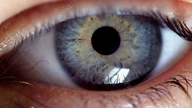 An eye twitches nervously