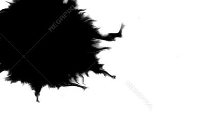 Paper absorbs ink paint