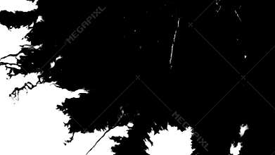 Paper absorbs ink paint