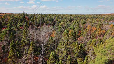 Cinematic Bird Eye Autumn Forest Valley Nova Scotia Canada Red Scene