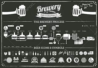 Brewery infographics - beer illustrations