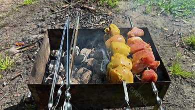 Marinated raw chicken skewers cooked on a charcoal barbecue, a culinary delight for an outdoor picnic