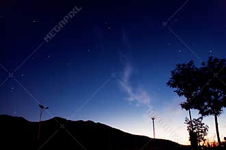 The tree against the star sky