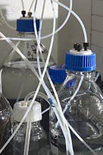 Bottles in laboratory