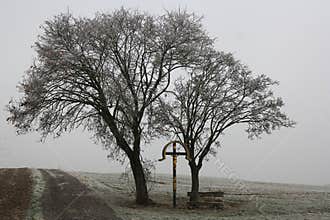 Roadside Crucifixion memorial under two leafless trees, foggy frosty countryside