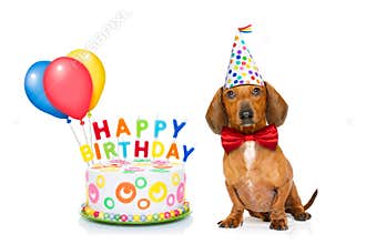 Happy birthday dog