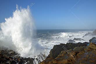 Oregon Coast, Shore Acres Park