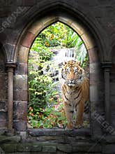 Jungle gateway