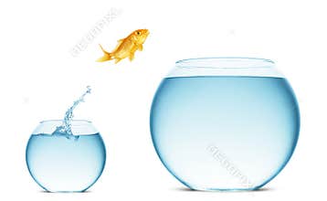 Goldfish jumping out of the water
