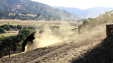 A horse rolling in the dirt.