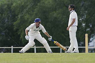 Cricket
