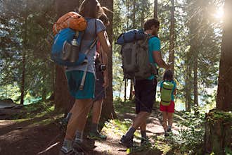 Four man and woman walking along hiking trail path in forest woods during sunny day. Group of friends people summer