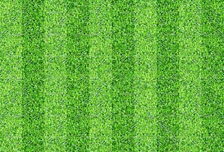 Seamlessly green grass texture background.