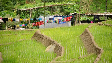 Scenic Sapa Vietnam