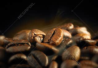 Roasted coffee beans