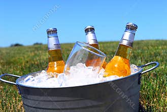 Bucket of beers on ice in a picnic setting