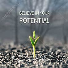 Believe in Your Potential
