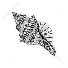 Zentangle stylized black sea cockleshell. Hand Drawn aquatic doo