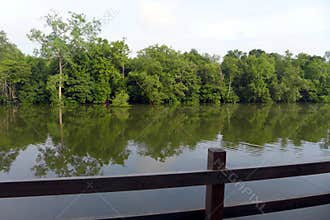Eco tourism - Resort balcony with tropical river view