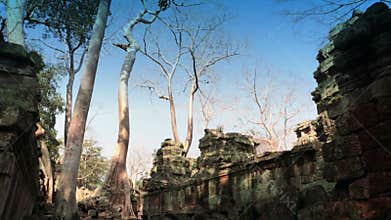 Preah Khan(it is translated as A sacred sword). Trees and ruins of the temple, Siem Reap, Cambodia