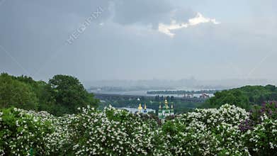Botanical garden in Kyiv 4K