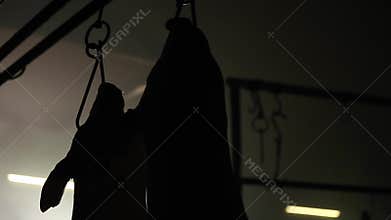 Dead pig in slaughter room