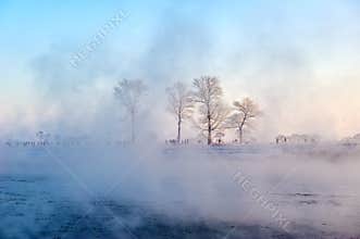 The rime in fog