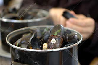 Mussel Feast