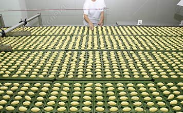 Food industry new 5