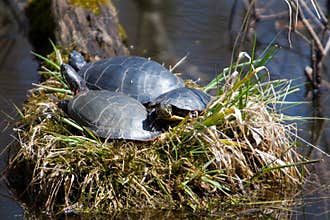 Hey, We're Bein' Followed!