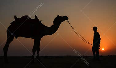 Sunset on a summer day