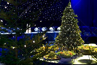 Christmas tree and party food