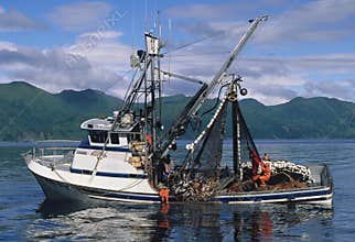 Salmon Fishing Boat