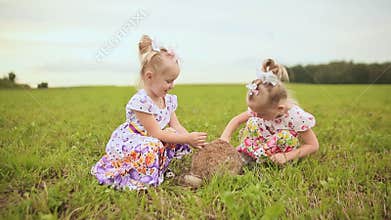 Two charming sisters twins amuse themselves on a green meadow with fluffy rabbit.